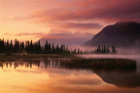 There's a host of evidence that the tall, humanlike creatures native to North America's northwestern forests known as Bigfoot or Sasquatch don't exist. Sightings, however, are still plentiful.